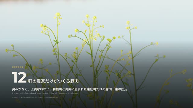 東庄町のアクセスの動画