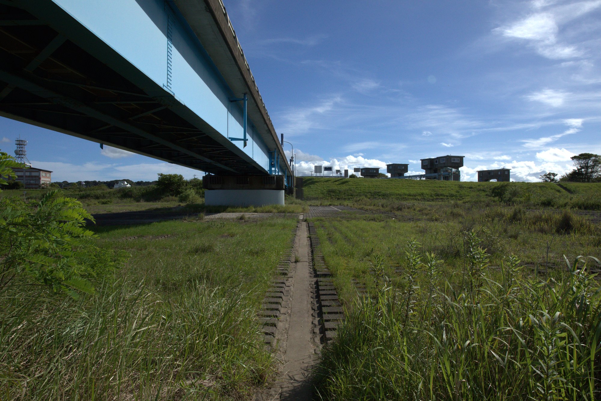 河川敷と大橋|東庄町の風景